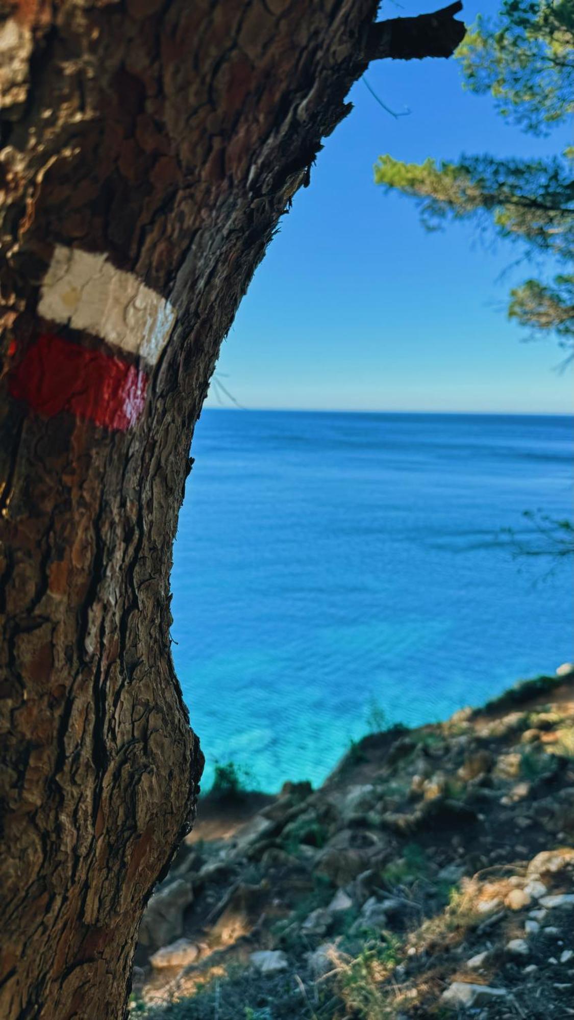 Can Romy Appartement T2F A 20M De La Plage De Cala Montgo L' Escala Eksteriør bilde